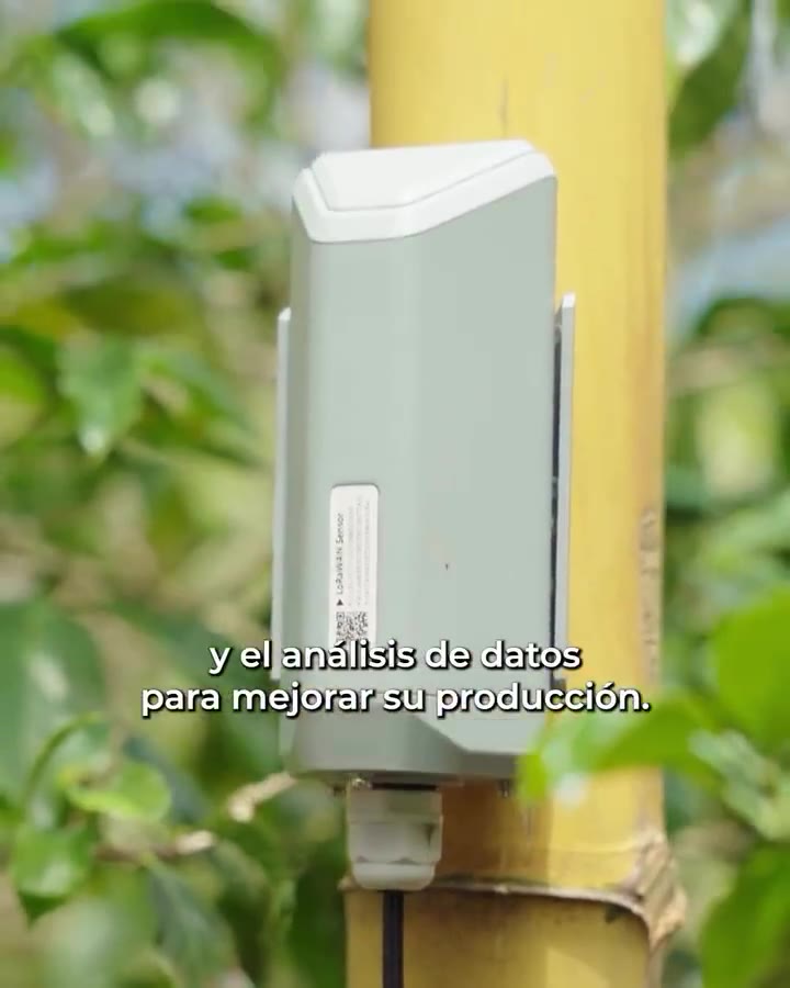 Sensor IoT instalado en una finca